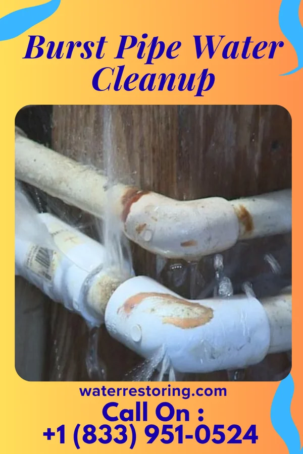 Burst Pipe Water Cleanup in Greensboro, NC