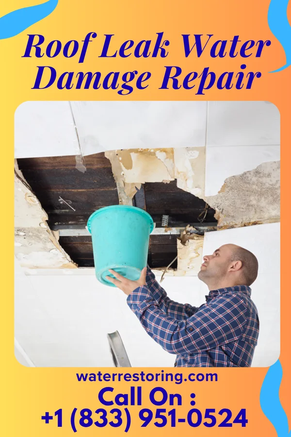 Roof Leak Water Damage Repair in Greensboro, NC